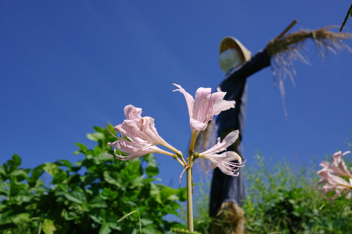 GR000519,18 mm,F5,1-1600 秒,iso200(JPEG).jpg