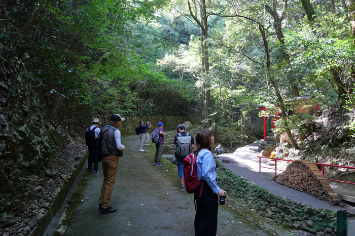 P1000009,12 mm,F5,1-60 秒,iso640(JPEG).jpg