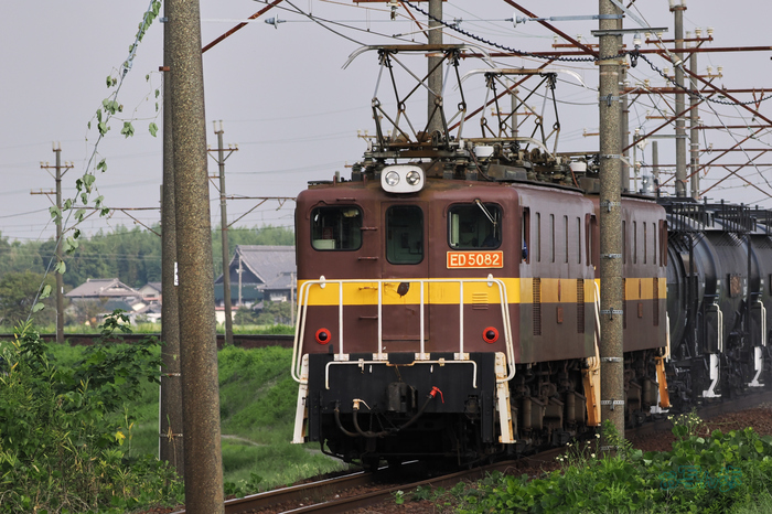 P9170638co,150 mm,F7.1,iso320(JPEG).jpg