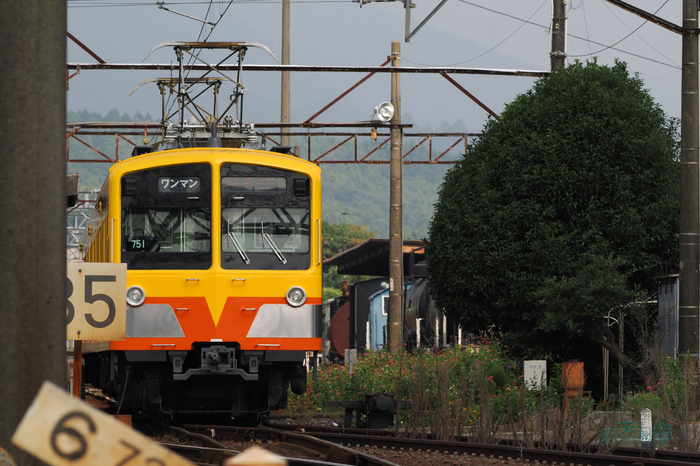 P9170743co,169 mm,F9,iso400(JPEG).jpg