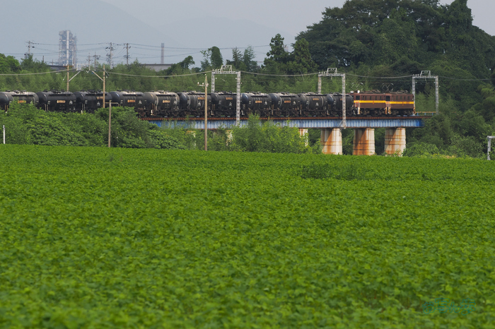 P9171093co,138 mm,F8,iso400(JPEG).jpg