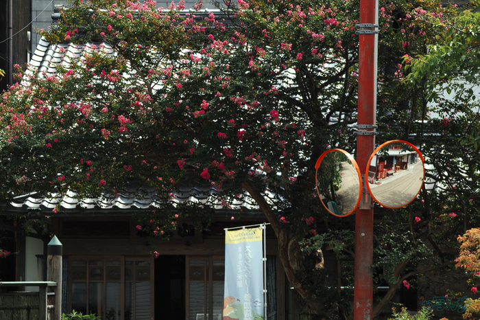 P9171220,123 mm,F5.6,1-640 秒,iso200(JPEG).jpg