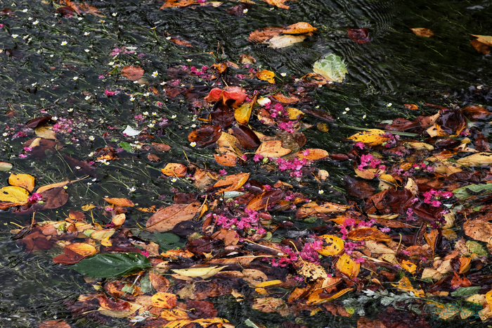 P9171536,100 mm,F8,1-400 秒,iso200(JPEG).jpg