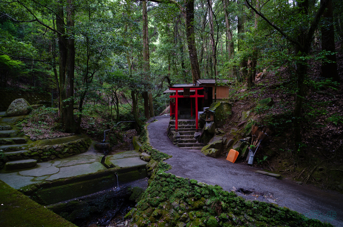 SDIM1893,20 mm,F3.5,1-25 秒,iso100(JPEG).jpg