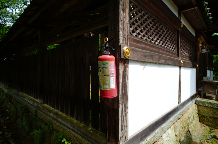 SDIM1923,20 mm,F3.5,1-320 秒,iso100(JPEG).jpg