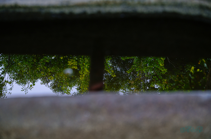 SDIM1927co,75 mm,F5.9,iso160(JPEG).jpg