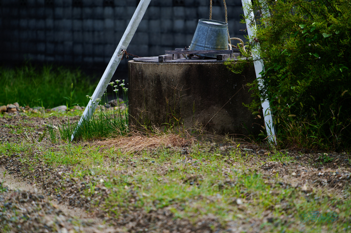 SDIM1949co,200 mm,F6.3,iso100(JPEG).jpg