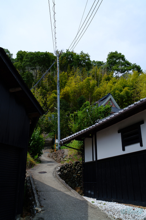 SDIM2020,34 mm,F9,1-250 秒,iso100(JPEG).jpg