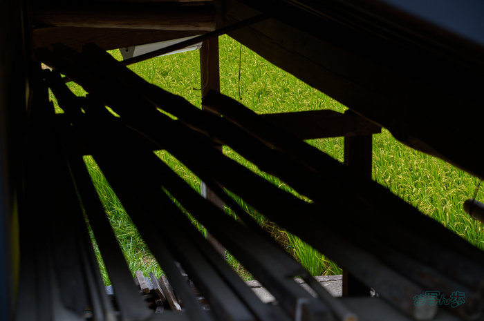 SDIM2024co,79 mm,F9,iso100(DNG).jpg