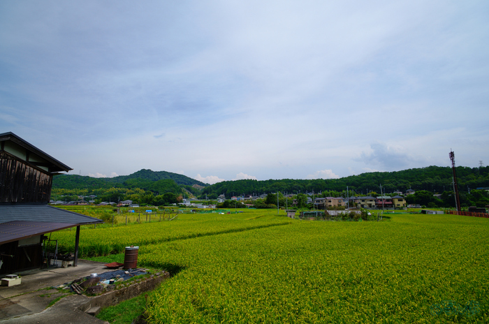 SDIM2026,20 mm,F9,1-400 秒,iso100(JPEG).jpg