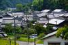 SDIM2029,164 mm,F8,1-320 秒,iso100(JPEG) 1.jpg