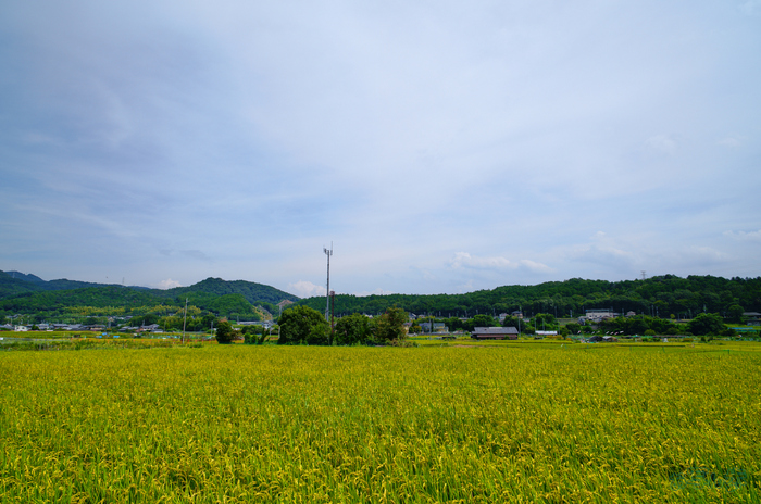 SDIM2056,20 mm,F9,1-400 秒,iso100(JPEG).jpg