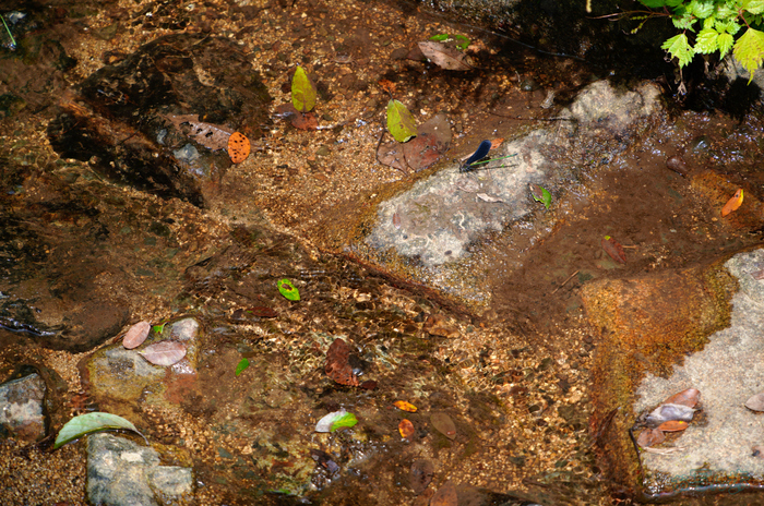 SDIM2070,200 mm,F6.3,1-200 秒,iso160(JPEG).jpg