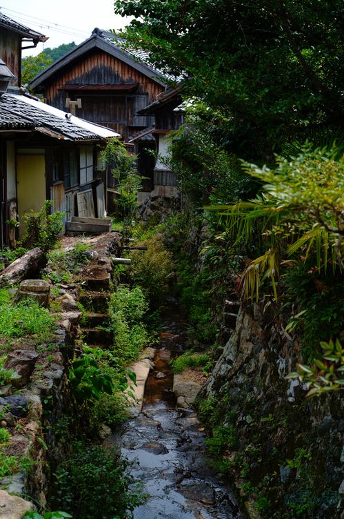 SDIM2086,55 mm,F6.3,1-320 秒,iso100(JPEG).jpg