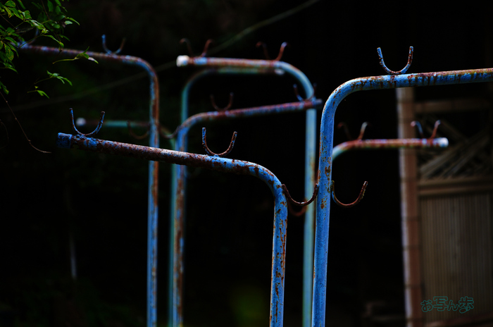 SDIM2116co,177 mm,F6.3,iso160(JPEG).jpg