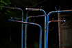 SDIM2116co,177 mm,F6.3,iso160(JPEG).jpg