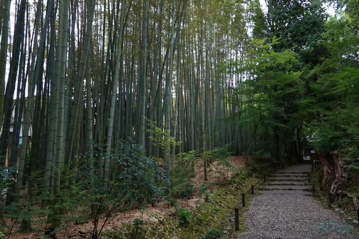 T8408,18 mm,F10,1-160 秒,iso800(JPEG).jpg