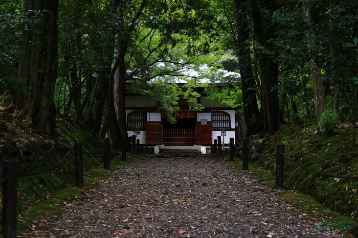 T8431,48 mm,F5.6,1-500 秒,iso800(JPEG) 1.jpg