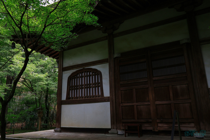 T8498,18 mm,F8,1-400 秒,iso800(JPEG).jpg