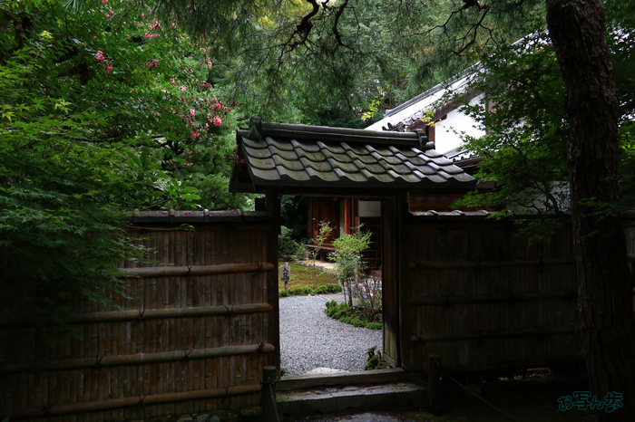 T8582,18 mm,F3.5,1-1600 秒,iso800(JPEG).jpg