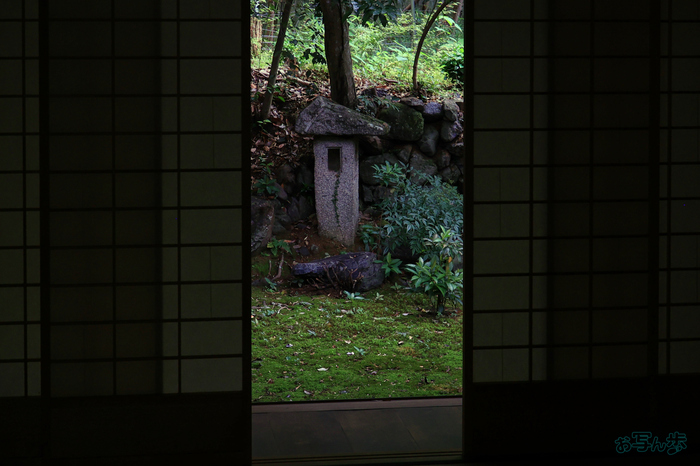T8617,46 mm,F8,1-60 秒,iso800(JPEG).jpg