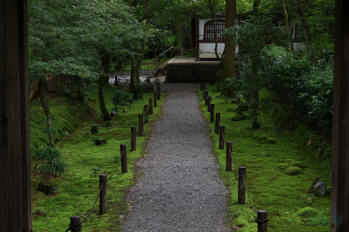 T8657,46 mm,F6.3,1-250 秒,iso800(JPEG).jpg