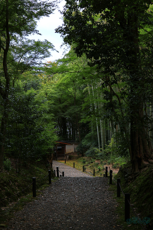 T8676,38 mm,F10,1-80 秒,iso160(JPEG).jpg