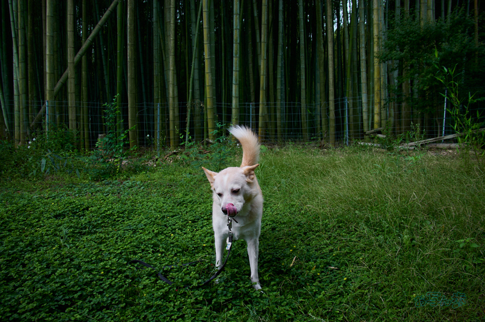 T8707co,18 mm,F5.6,iso100(RAW).jpg