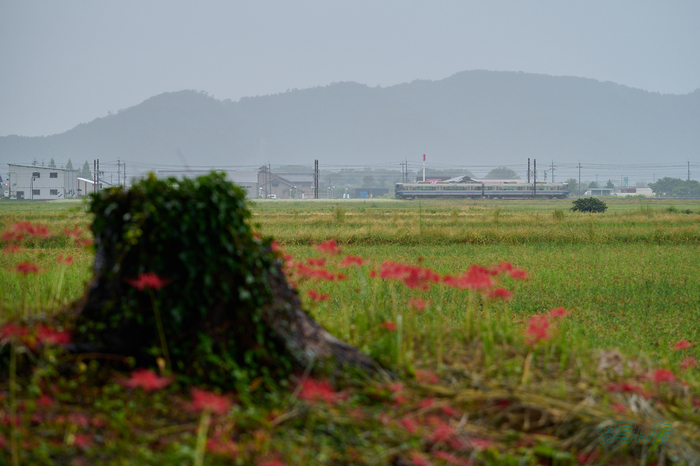 DSC_1638co,76 mm,F3.5,iso160(RAW S).jpg