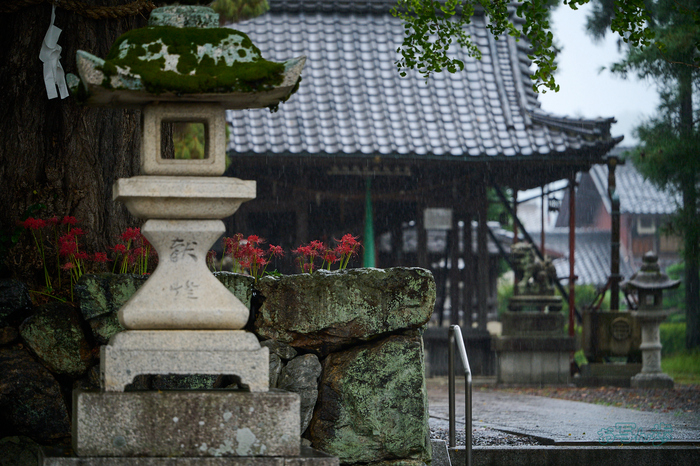 DSC_1762co,134 mm,F2.8,iso400(RAW S).jpg