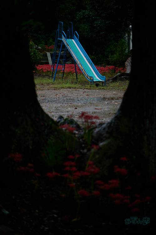 DSC_2029co,160 mm,F2.8,iso100(RAW S).jpg