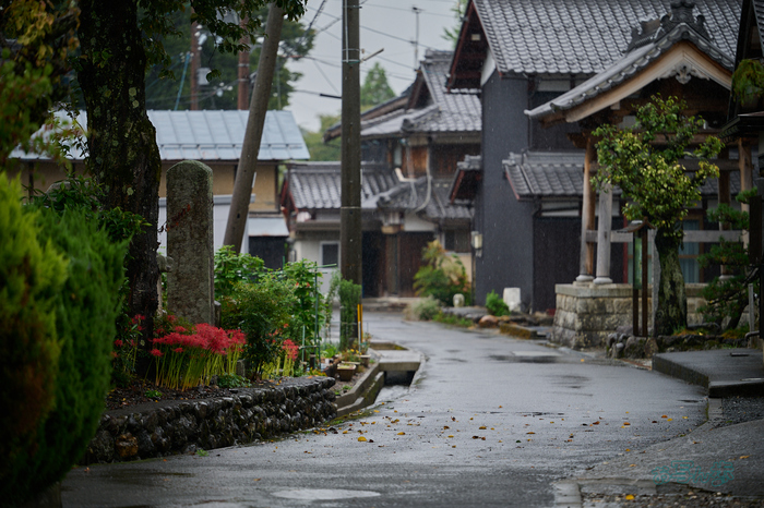 DSC_2060co,150 mm,F2.8,iso100(RAW S).jpg