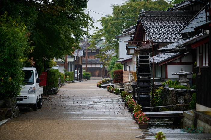 DSC_2080co,130 mm,F2.8,iso100(RAW S).jpg