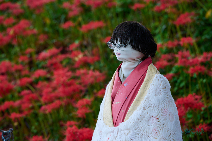 DSC_2539co,171 mm,F5,iso320(RAW S).jpg