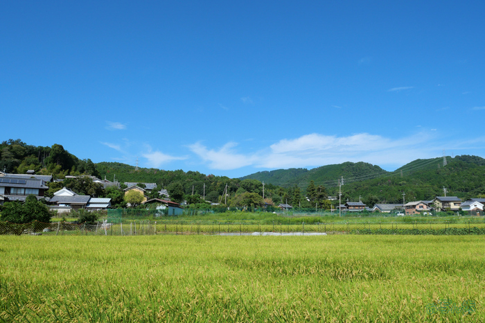 P1000029,12 mm,F7.1,1-640 秒,iso200(JPEG).jpg