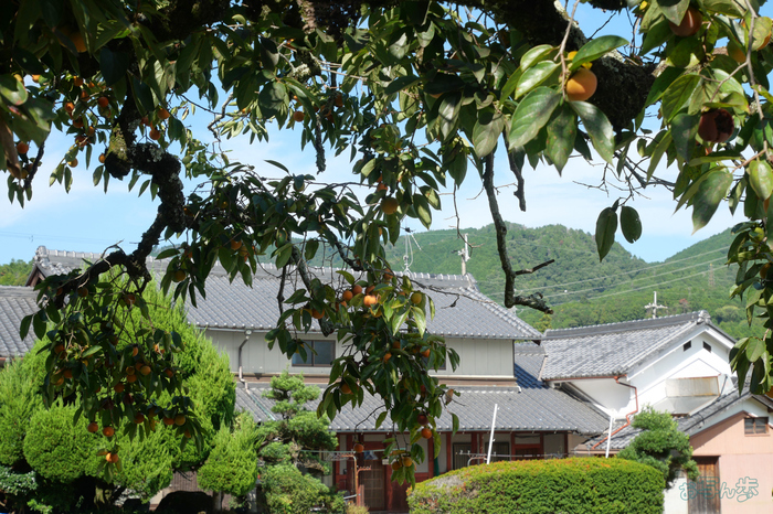 P1000032,32 mm,F7.1,1-320 秒,iso200(JPEG).jpg