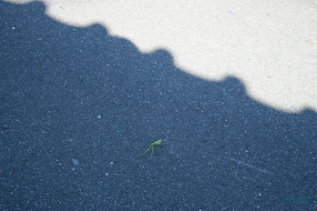 P1000034,32 mm,F5.6,1-160 秒,iso200(JPEG).jpg