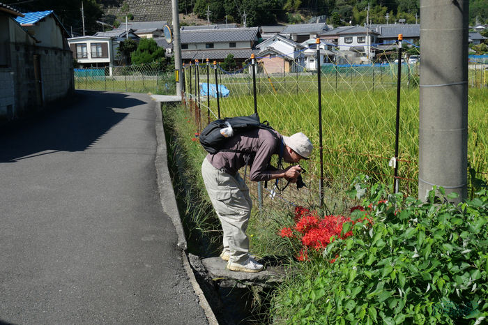 P1000041,20 mm,F6.3,1-800 秒,iso200(JPEG).jpg