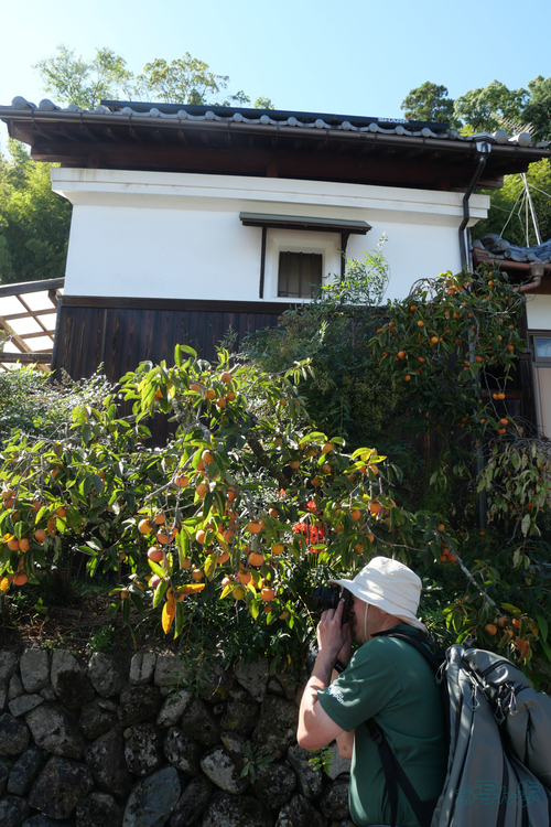 P1000043,12 mm,F6.3,1-200 秒,iso200(JPEG).jpg