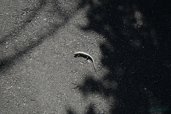 P1000056,32 mm,F6.3,1-400 秒,iso200(JPEG).jpg