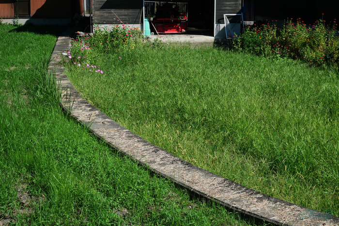 P1000058,32 mm,F6.3,1-1600 秒,iso200(JPEG).jpg