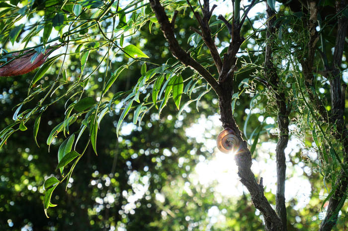 P1000063,32 mm,F5.6,1-80 秒,iso200(JPEG).jpg