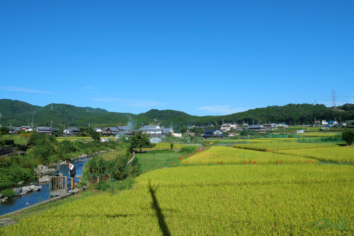 P1000065,12 mm,F5.6,1-1000 秒,iso200(JPEG).jpg