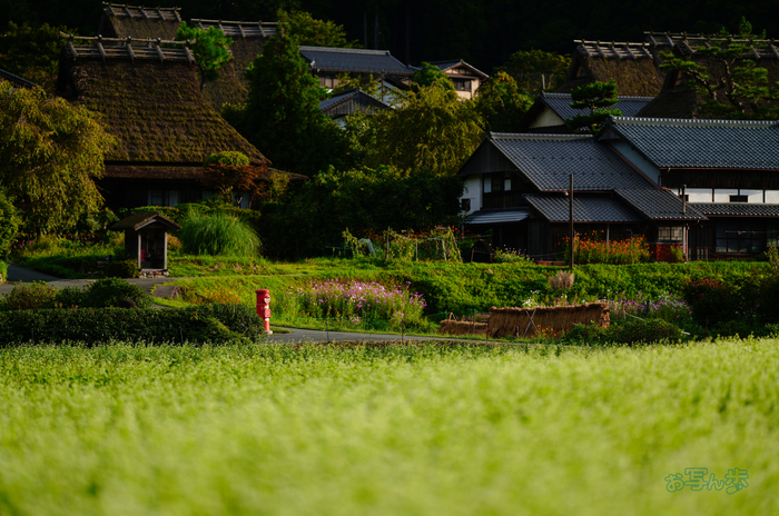 SDIM2407co,135 mm,F1.4,iso100(JPEG).jpg