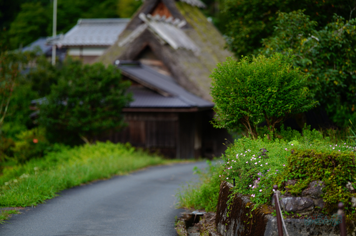 SDIM2551co,135 mm,F1.4,iso100(JPEG).jpg