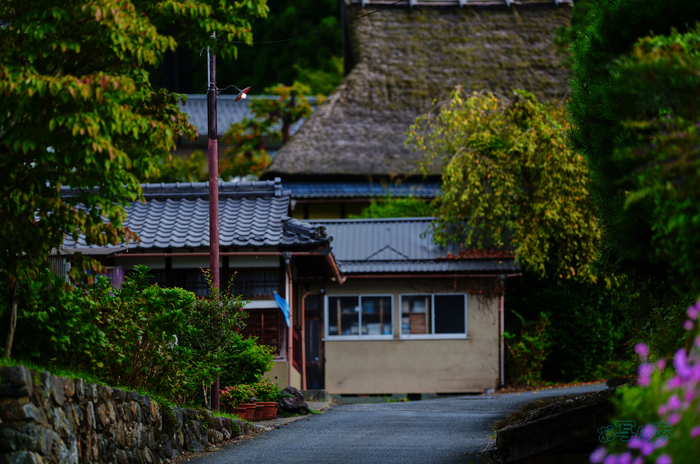 SDIM2660co,135 mm,F1.4,iso100(JPEG).jpg