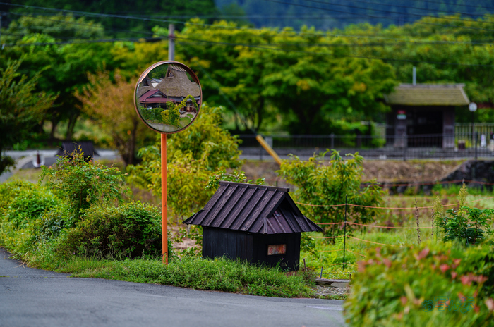SDIM2677co,135 mm,F1.4,iso100(JPEG).jpg
