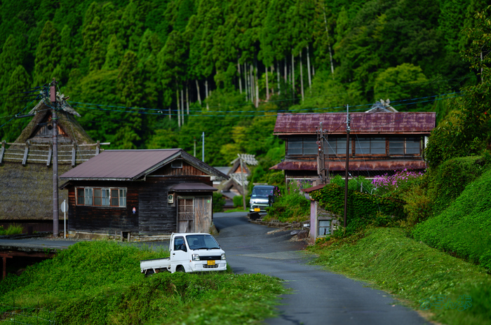SDIM2711co,135 mm,F1.4,iso100(JPEG).jpg