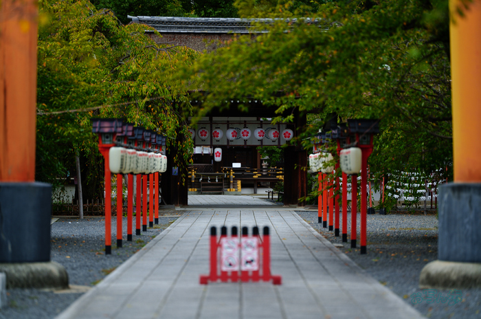 SDIM3151co,135 mm,F1.4,iso100(JPEG).jpg
