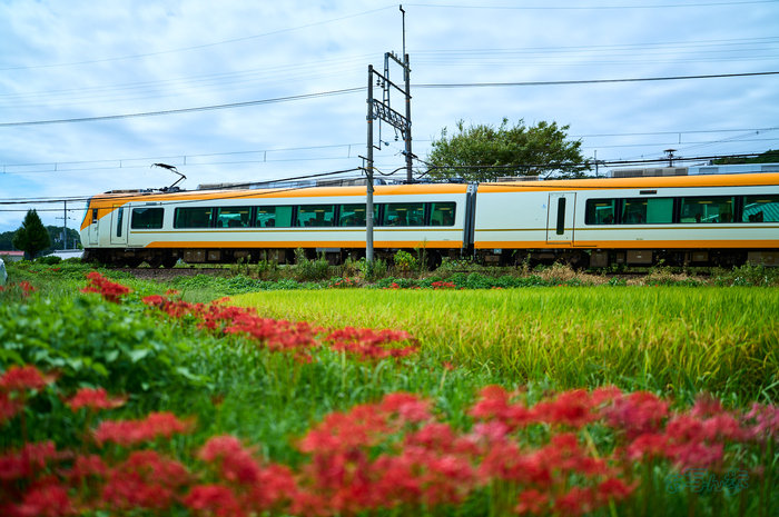 SDIM3525co,35 mm,F1.2,iso100(DNG).jpg